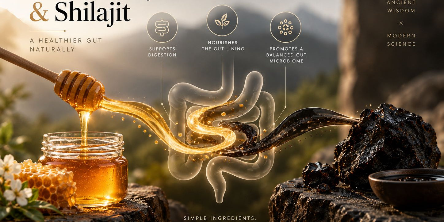 How raw honey's enzymes and shilajit's fulvic acid work together in the gut