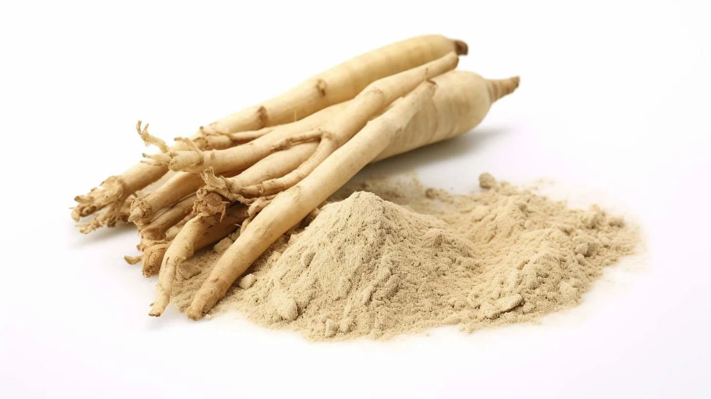 Shatavari and Shilajit: 5 Reasons Why It Is the Perfect Combination for Women’s Health