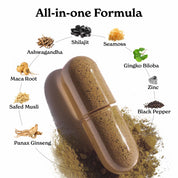 SJSM120X2-US
GPHSGTF60-US