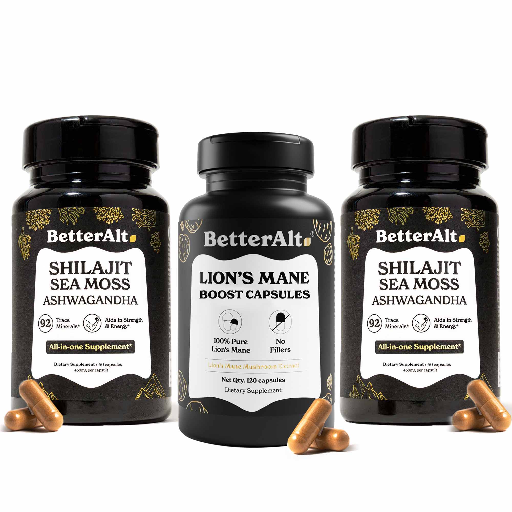 SJSM120X2+BLMMCE120-US