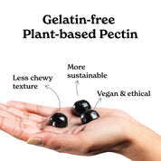 GPHSMF60-US GPHS60-US
GPHSMF60X2-US GPHS60X2-US
GPHSMF60X2+SBHSNG-US GPHSMF60X2-US
GPHSMF60X2+BBRC120-US
GPHSMF60X2+BLMMCE120-US