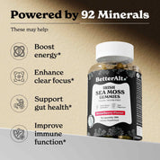 GPHS60+ISMG30+HSHS30-US