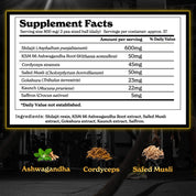 HSGPACS30-US HSGPACS30X2-US 