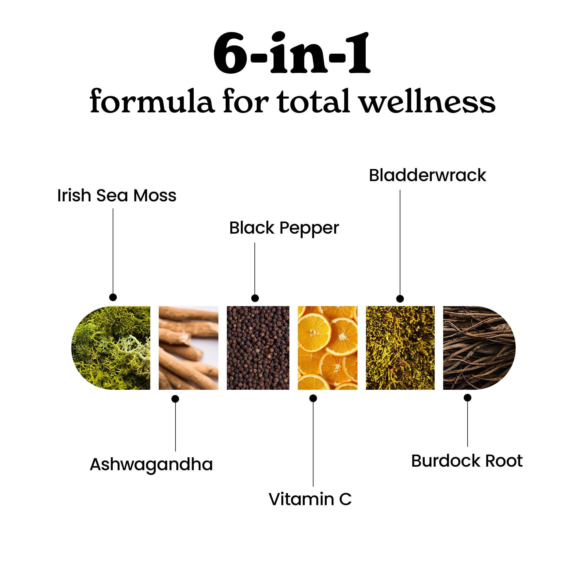 SM120-US - Irish Sea Moss Capsules